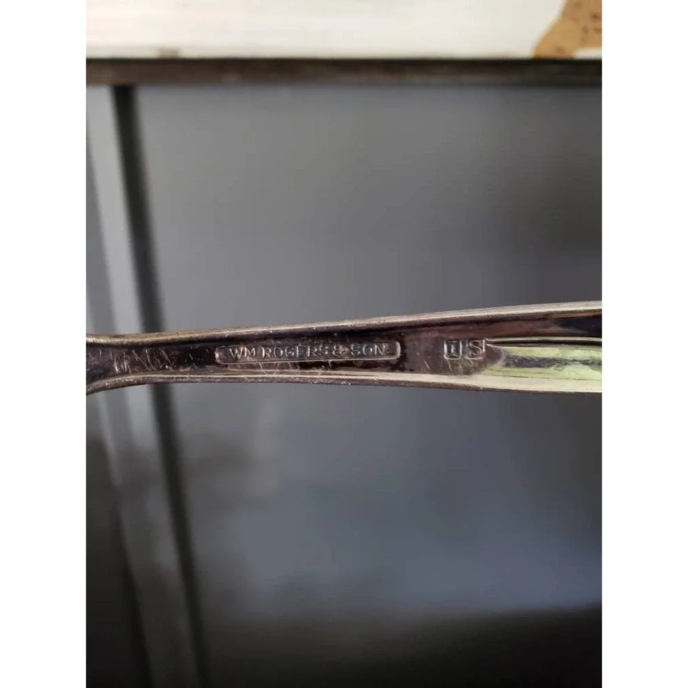 1960s WM Rogers & Sons Sea Spray Casserole Spoon Silverplate Serving Replacement